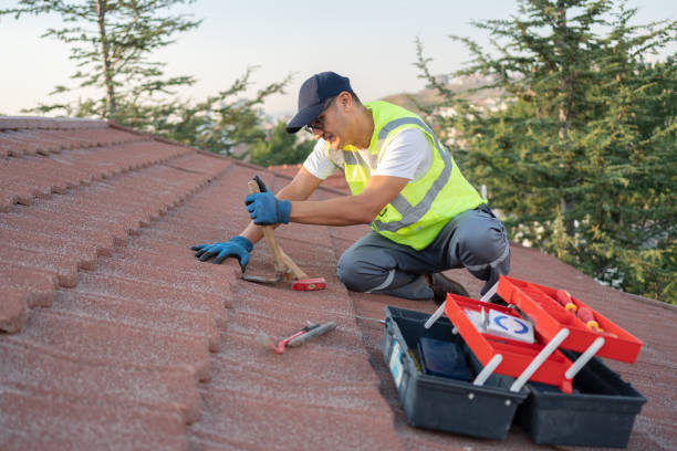 Best Roof Ventilation Installation  in Belleair Bluffs, FL